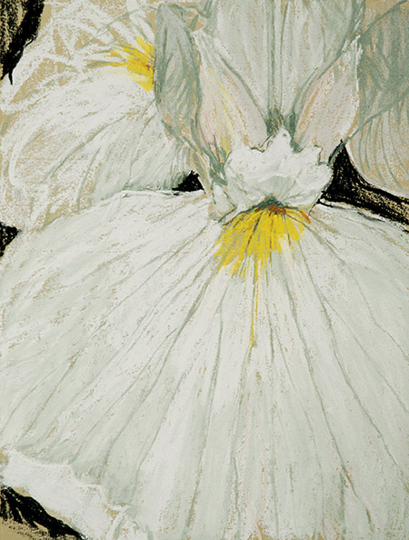 Pastel van Lex Goes wordt geladen